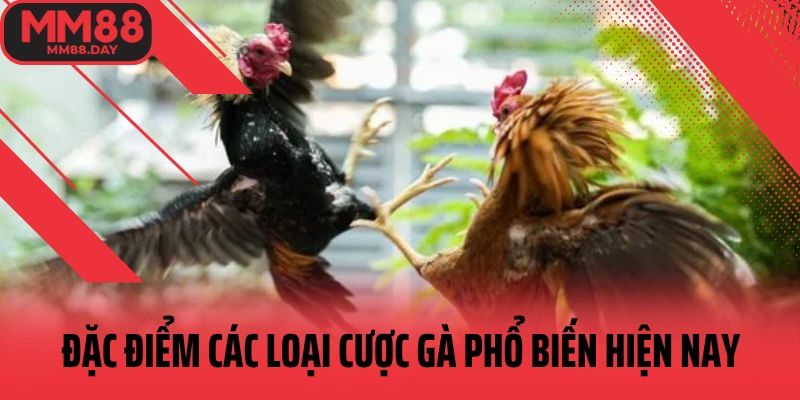 dac-diem-cac-loai-cuoc-ga-pho-bien-hien-nay