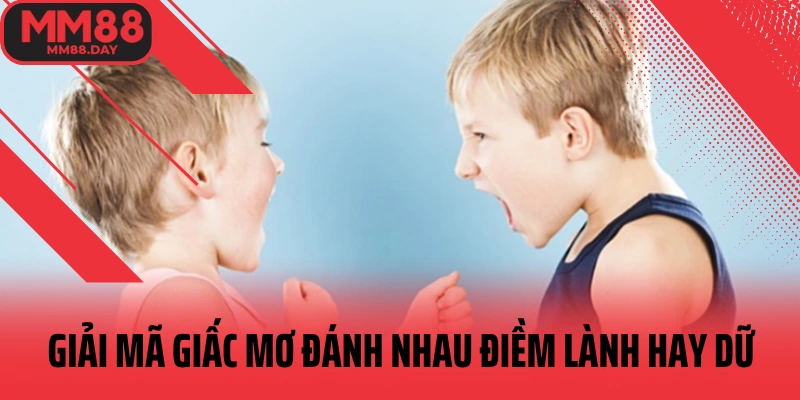 giai-ma-giac-mo-danh-nhau-diem-lanh-hay-du